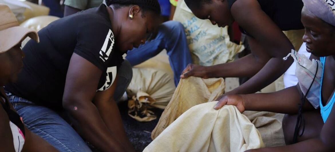 UN News highlights BINUH Q1 2026 findings: 69 civilians killed by security force drone strikes, 292 sexual violence victims, 13-year-old executed for flying a kite in gang-controlled Port-au-Prince.