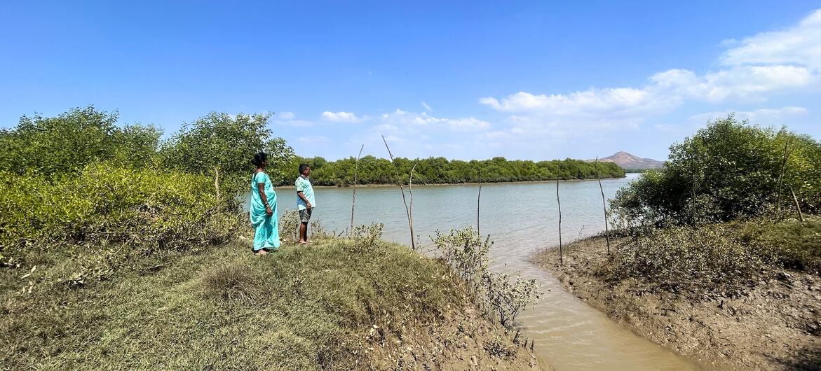 महाराष्ट्र में खारडी गाँव में मैन्ग्रोव वनों की पुनर्बहाली.