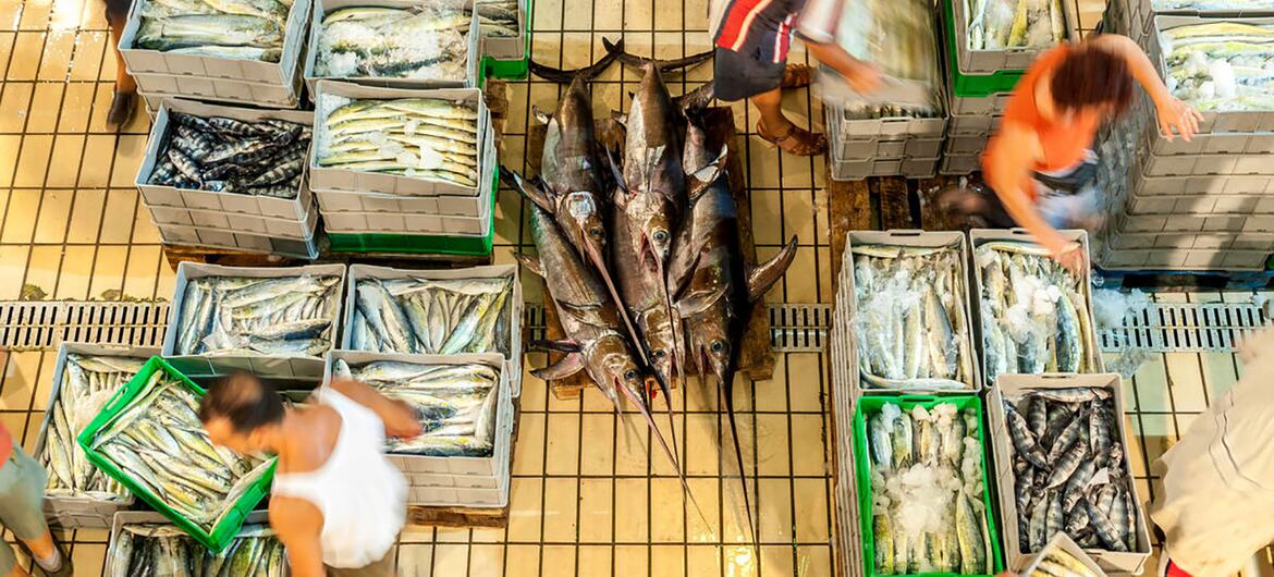 An overhead view of a bustling fish market in Valletta, Malta, where vendors handle crates of fresh fish and seafood.