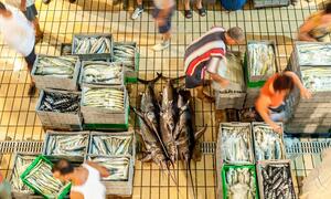 An overhead view of a bustling fish market in Valletta, Malta, where vendors handle crates of fresh fish and seafood.