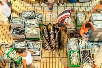 An overhead view of a bustling fish market in Valletta, Malta, where vendors handle crates of fresh fish and seafood.