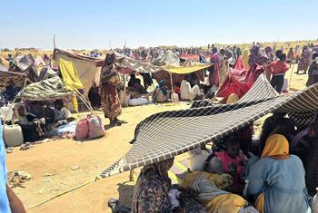 Watu wanaotafuta makazi katika eneo la uhamiaji la Tawila nchini Sudan. Wanawake na watoto wamesimama chini ya mahema ya muda katika eneo kavu na lenye vumbi huku UNHCR na washirika wake wakitoa msaada wa kuokoa maisha, ikiwa ni pamoja na makazi, vitu vya msingi, na ushauri kwa wale waliojilazimisha kuondoka El Fasher.