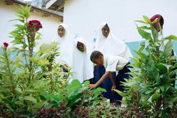 Kikundi cha watoto wa shule za Kiafrika wakiwa wamevaa sare, baadhi yao wakiwa wamevaa hijabi, wakitunza mimea katika bustani ya shule huko Zanzibar, Tanzania.