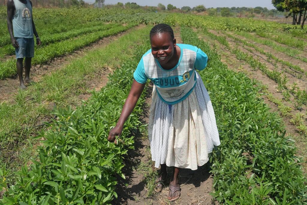 Mwanamke mwenye tabasamu kutoka Sudan Kusini katika shamba akichunguza safu za mazao ya kijani, sehemu ya mpango wa kilimo unaoungwa mkono na UNDP.