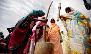Wanawake wenye mavazi ya kitamaduni yenye rangi mbalimbali hutumia pishi kubwa za mbao kusaga nafaka katika chokaa huko Darfur, Sudan.