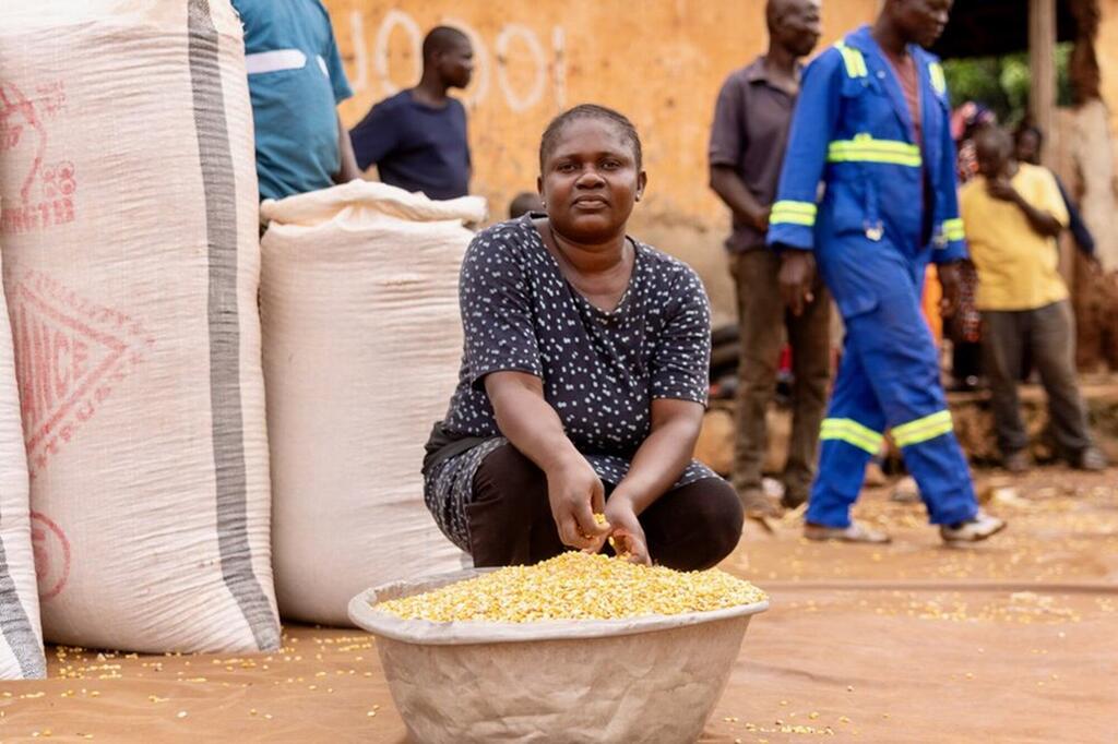 Mwanamke mweusi Mwafrika anagawa mbegu za mahindi ya manjano kwenye bakuli kubwa, sehemu ya programu ya chakula cha shule nchini Ghana inayoungwa mkono na Shirika la Chakula Duniani (WFP).