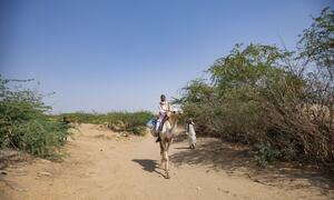Mfanyakazi wa afya, Mahmoud, anapanda ngamia kwenye barabara ya udongo katika bonde la Barqiq, la mbali, katika Jimbo la Bahari Nyekundu la Sudan wakati wa kampeni ya chanjo ya polio.