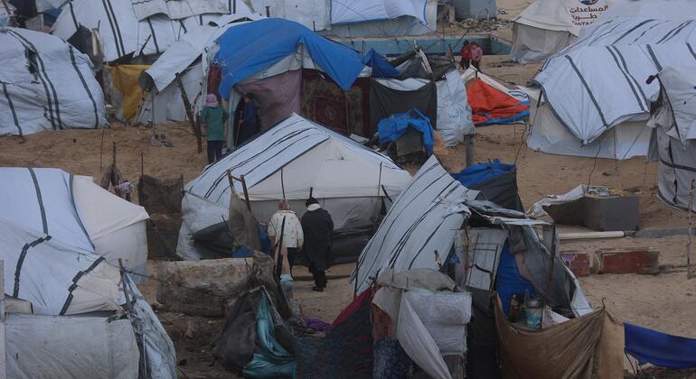خيام النازحين في ميناء غزة، غرب مدينة غزة.
