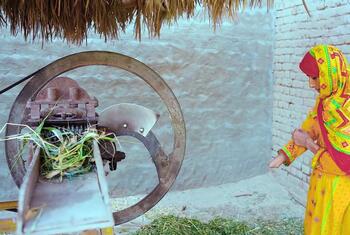 Una mujer rural paquistaní herida por un cortador de forraje.