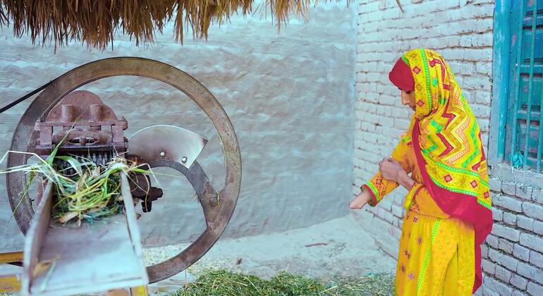 Una mujer rural paquistaní herida por un cortador de forraje.