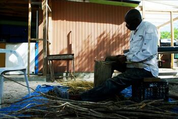 Un artesano local de las Bahamas pela la corteza de la cascara para extraer aceite que se utiliza en todo el mundo para hacer cócteles.