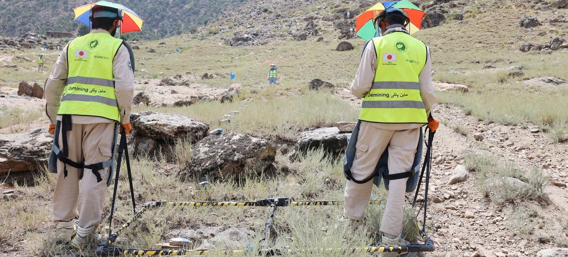 Dos trabajadores de desminado de la UNOPS en Afganistán escanean una zona rocosa y montañosa en busca de minas terrestres utilizando detectores de metales y equipos de seguridad.