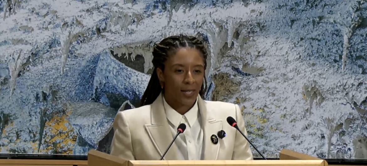 A ministra brasileira, Rachel Barros, discursando em um pódio.