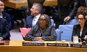 Martha Ama Akyaa Pobee, Assistant Secretary-General for Africa at the UN, briefs the Security Council on the situation in Iran during a formal meeting.