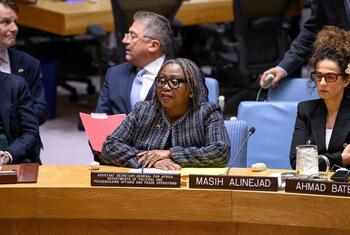 Martha Ama Akyaa Pobee, Assistant Secretary-General for Africa at the UN, briefs the Security Council on the situation in Iran during a formal meeting.