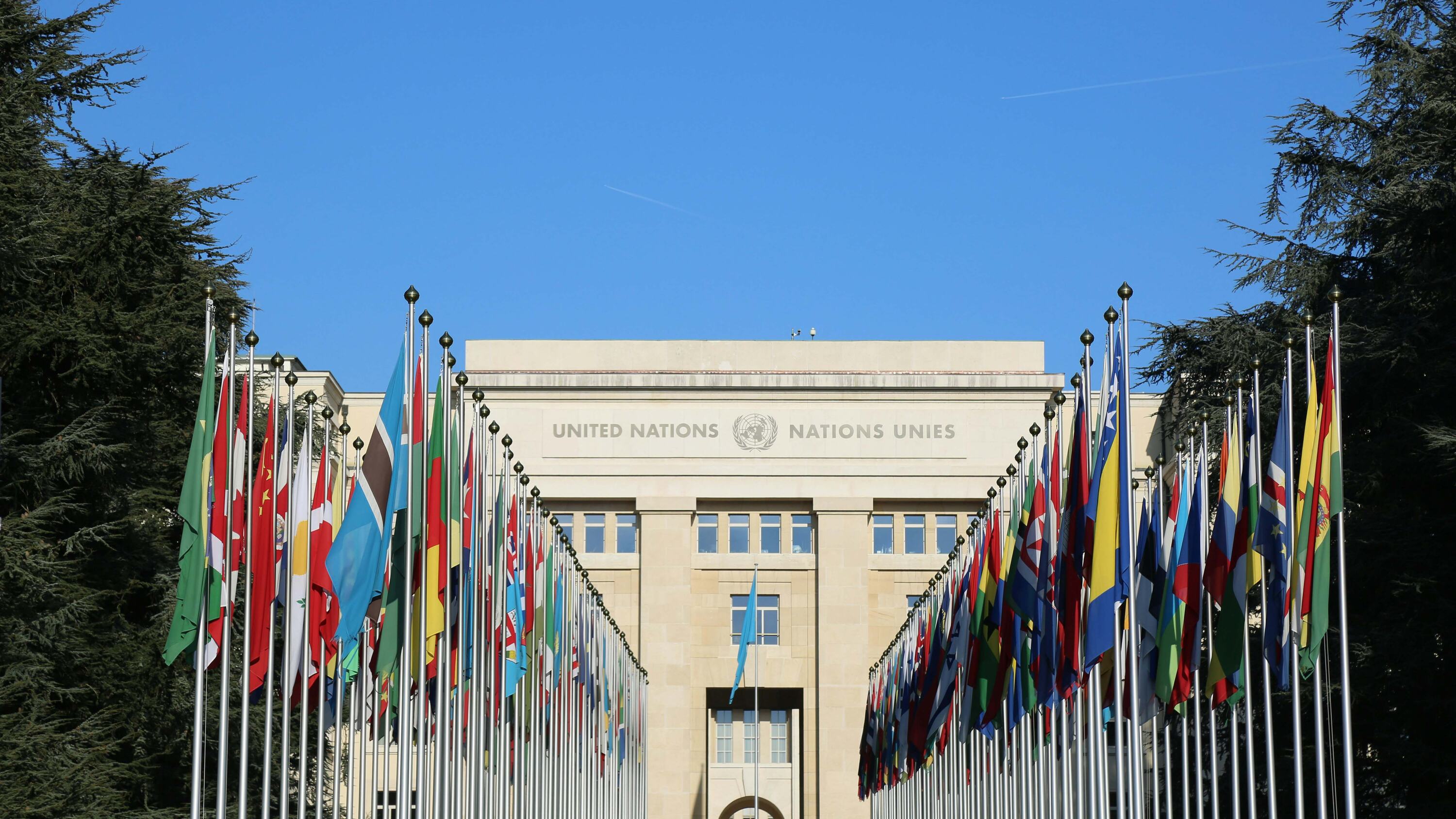 Assembleia Mundial da Saúde terá eventos paralelos de países de língua portuguesa