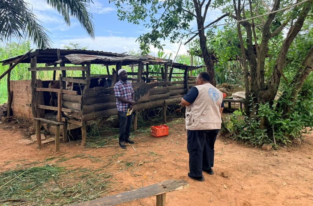 Mfugaji mkoano Kigoma nchini Tanzania akimsikiliza mtaalamu kutoka FAO Tanzania juu ya matumizi ya EMA-i+ (Event Mobile Application – improved plus) ambao ni mfumo wa kidijitali wa kudhibiti magonjwa ya wanyama.