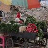 Un vendeur de rue à Gaza vend des légumes frais, y compris des radis et des herbes, à partir d'un chariot pendant le Ramadan.