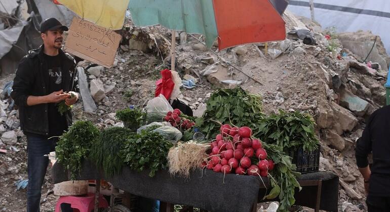 Un vendedor callejero que vende verduras en uno de los mercados de Gaza.