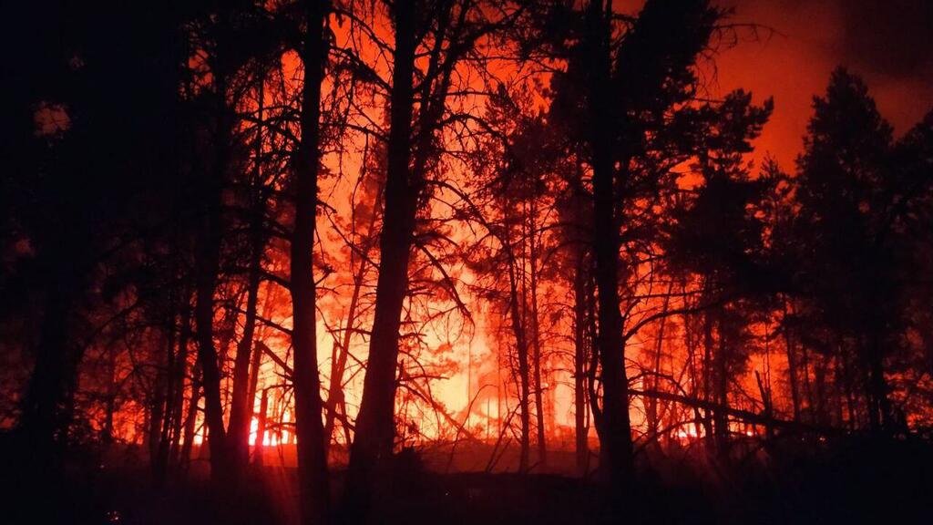 Una dramática escena nocturna de un incendio forestal en Bielorrusia, con llamas naranjas brillantes que iluminan las siluetas de pinos altos contra un cielo oscuro.