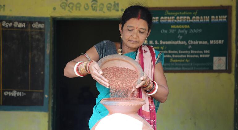 सामुदायिक बीज बैंक ओडिशा की कृषि विरासत को नया जीवन दे रहे हैं.