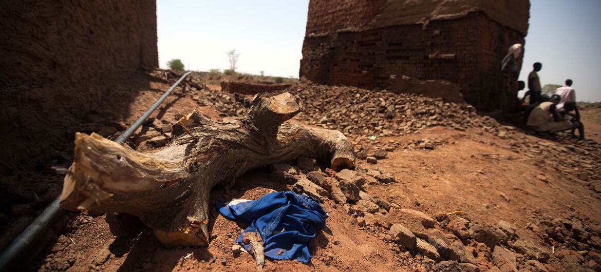 Firewood used to dry bricks in a massive oven in El Fasher, North Darfur, Sudan. The image highlights the environmental impact of brick production, showing a large pile of dirt and broken bricks with a tree stump in the foreground.