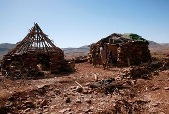 Des dizaines de milliers de personnes déplacées au Darfour, au Soudan, cherchent refuge dans un camp improvisé près du site de l'équipe de l'UNAMID à Sortoni, faute d'installations essentielles telles que l'eau et un abri.