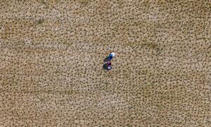 Two young girls carry a water bucket across cracked, drought-stricken land in Sakhuwa Parsauni Rural Municipality, Parsa District, Madhesh Province, Nepal, highlighting the impact of climate change on rural communities.