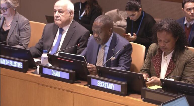 A group of diplomats sitting at an official conference table. A sign for the State of Palestine is visible on the left, with signs for the President and Secretary in the centre.