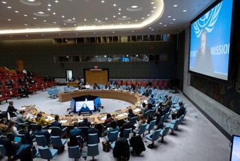 Hanna Serwaa Tetteh, Special Representative and Head of the UN Support Mission in Libya, briefing the Security Council on Libya's situation and UNSMIL sanctions.