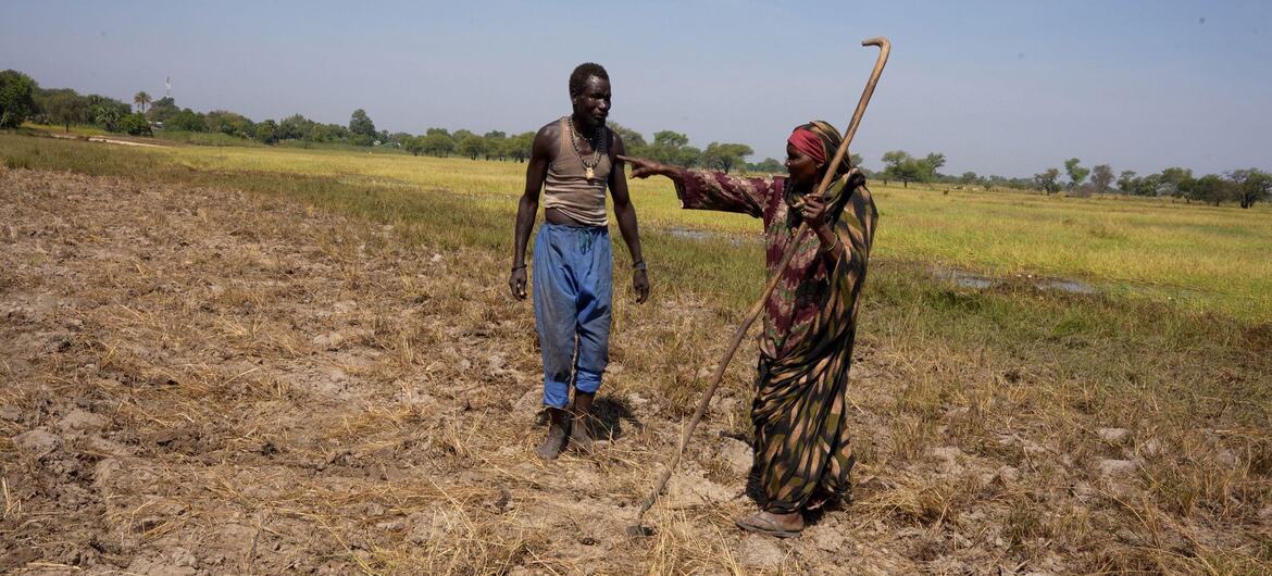 Una mujer refugiada sudanesa enseña a un hombre a trabajar el campo en la República Centroafricana, demostrando técnicas de supervivencia utilizando una herramienta agrícola tradicional.