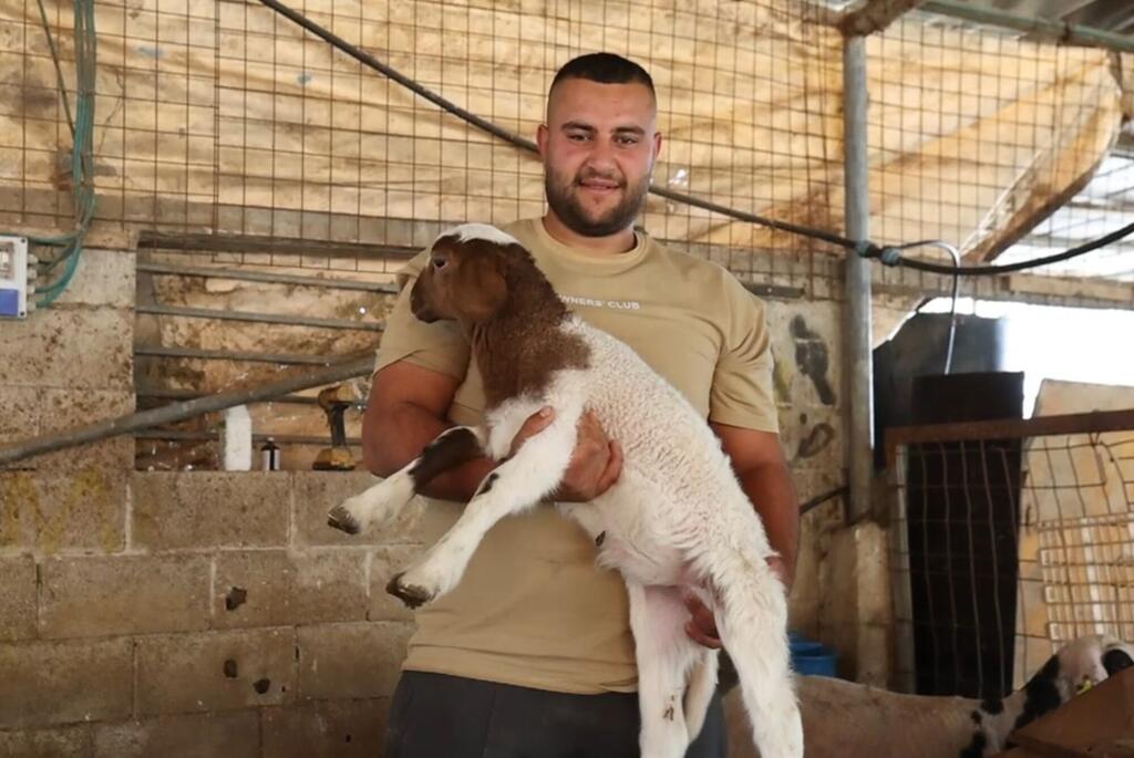 Mkulima katika Ukingo wa Magharibi, akiwa na kondoo mchanga, akionesha mazoea ya kilimo yanayoungwa mkono na FAO.