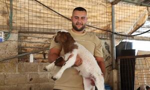 Mkulima katika Ukingo wa Magharibi, akiwa na kondoo mchanga, akionesha mazoea ya kilimo yanayoungwa mkono na FAO.