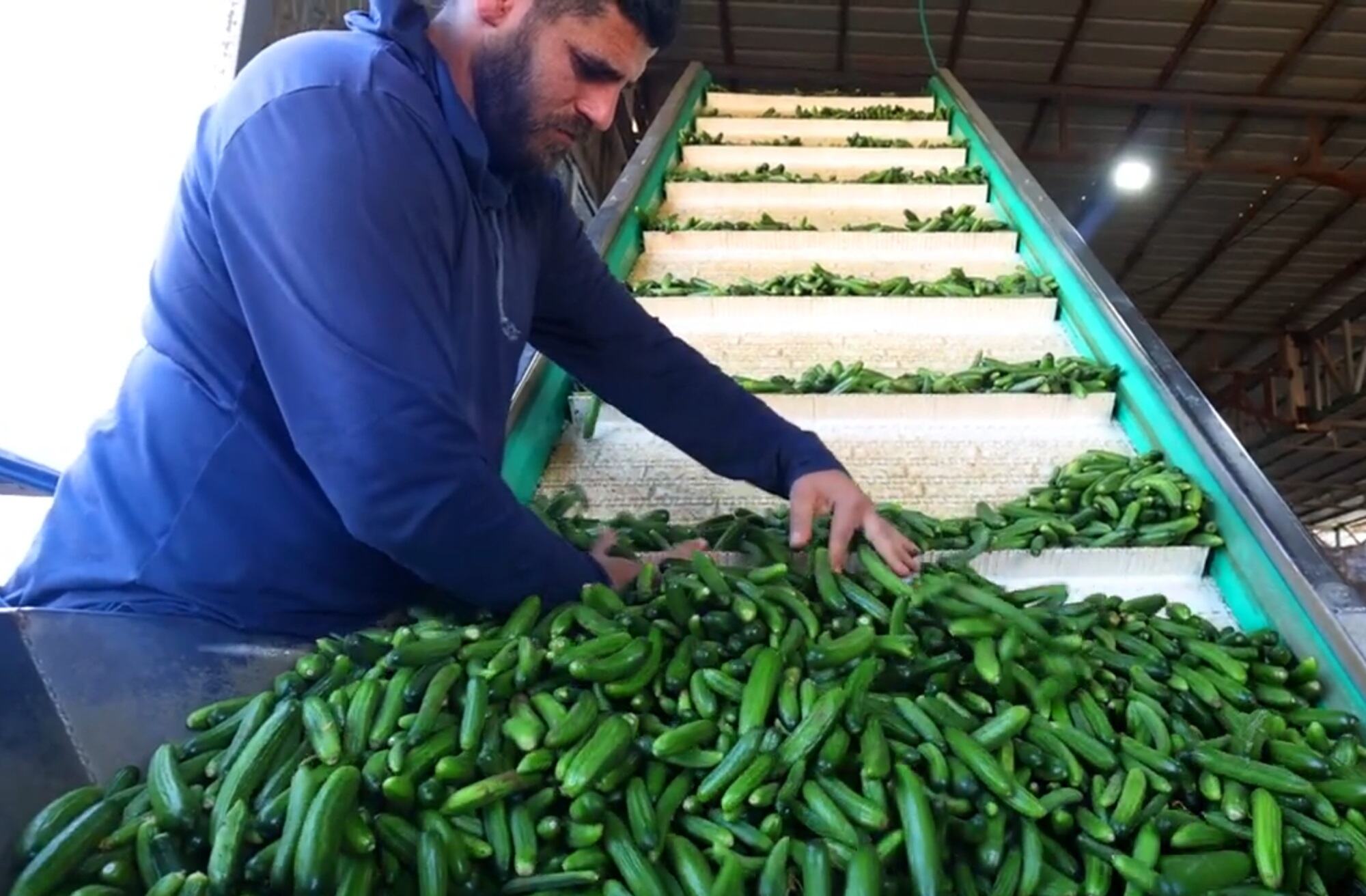 Kwa msaada wa FAO na Canada Ukingo wa Magharibi umetiza muongo wa kuboresha kilimo