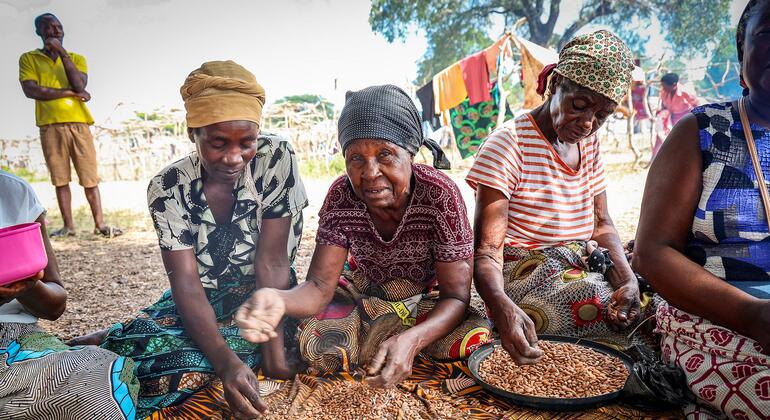 Um grupo de mulheres em Moçambique está a separar feijões como parte de uma iniciativa de ajuda alimentar do Programa Mundial de Alimentos (PMA).
