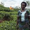 Mwanamke Mnyarwanda amesimama kwenye shamba la chai, akitabasamu mbele ya kamera. Wakulima wengine wanaonekana wakifanya kazi nyuma.