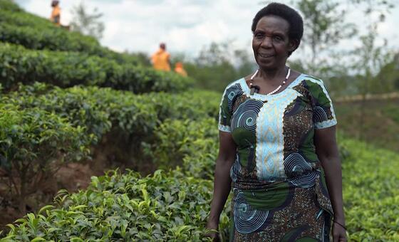 Mwanamke Mnyarwanda amesimama kwenye shamba la chai, akitabasamu mbele ya kamera. Wakulima wengine wanaonekana wakifanya kazi nyuma.