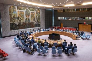 联合国安理会关于叙利亚局势会议的全景图。