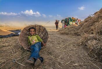 A young boy sits in a large woven basket in a rural field. In the background, people are working with a green threshing machine amidst piles of harvested straw and grain under a blue sky.
