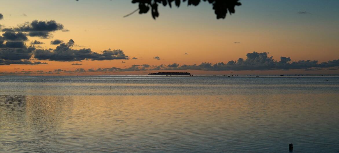 A serene sunset over the ocean, with an island visible on the horizon and tree branches silhouetted in the foreground.