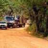 Un convoi de véhicules, dont un camion de ONU , circule sur une piste de terre à travers une forêt de la République démocratique du Congo.