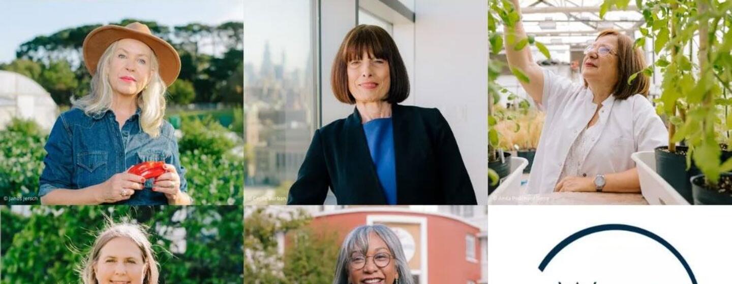 Image promotionnelle des Prix L'Oréal-UNESCO Pour les Femmes et la Science 2026 mettant en scène cinq chercheuses. L'image est un collage de portraits et de clichés des lauréates dans leurs domaines scientifiques respectifs, accompagné du logo officiel de l'événement.