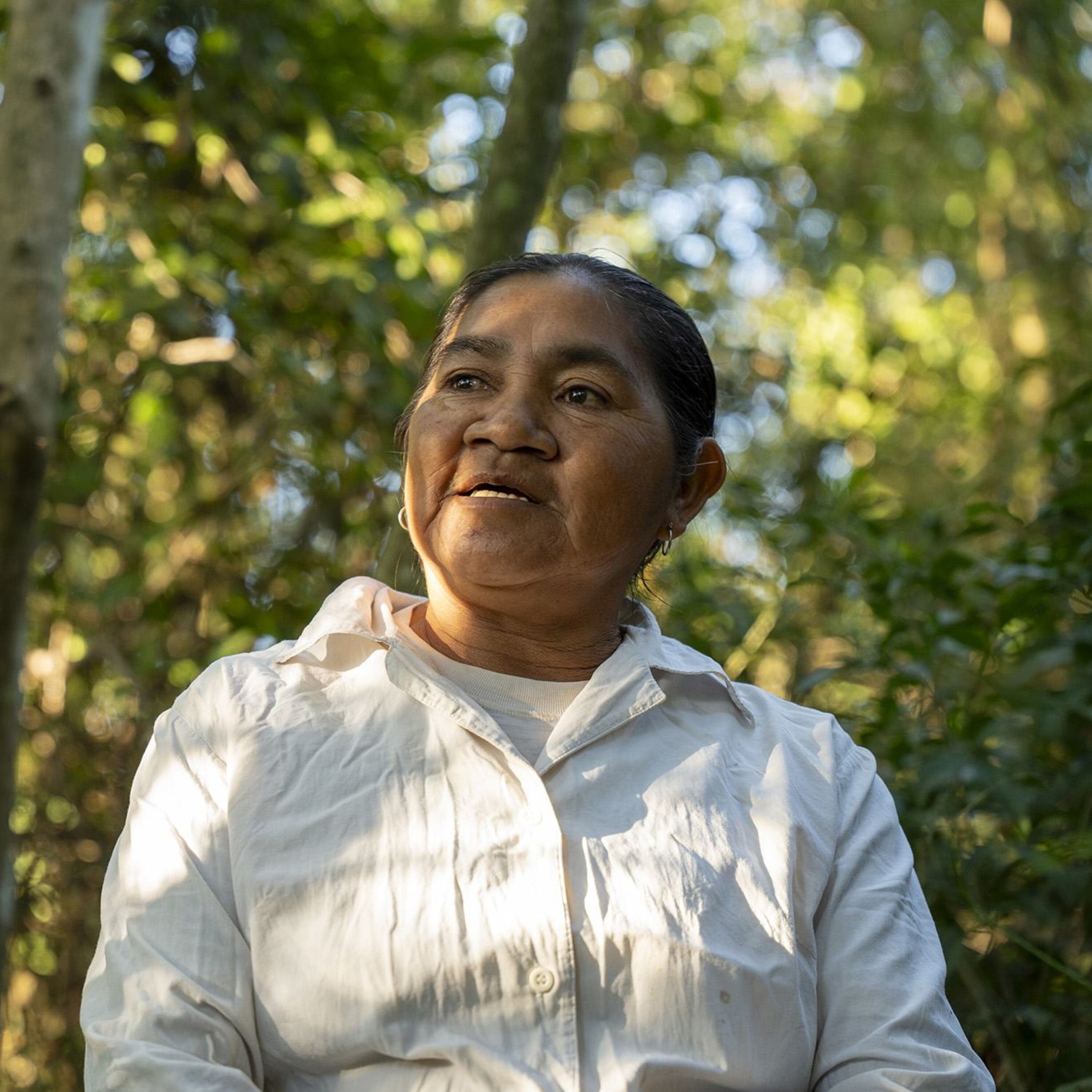 Una mujer paraguaya con una camisa blanca está de pie en un bosque iluminado por el sol, mirando hacia arriba.