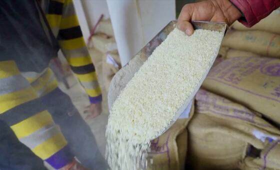 Una persona sostiene una cucharada de arroz blanco fortificado, con grandes sacos de grano al fondo.