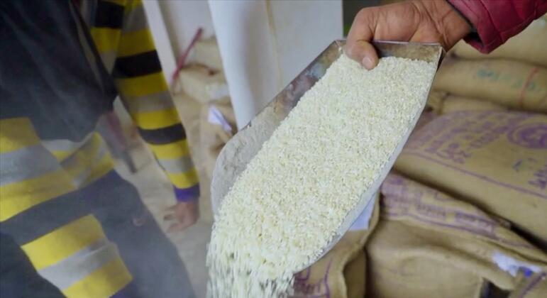 Una persona sostiene una cucharada de arroz blanco fortificado, con grandes sacos de grano al fondo.