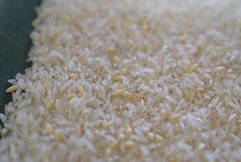 Primer plano de un montón de granos de arroz blanco fortificado con enriquecimientos nutricionales amarillos visibles.