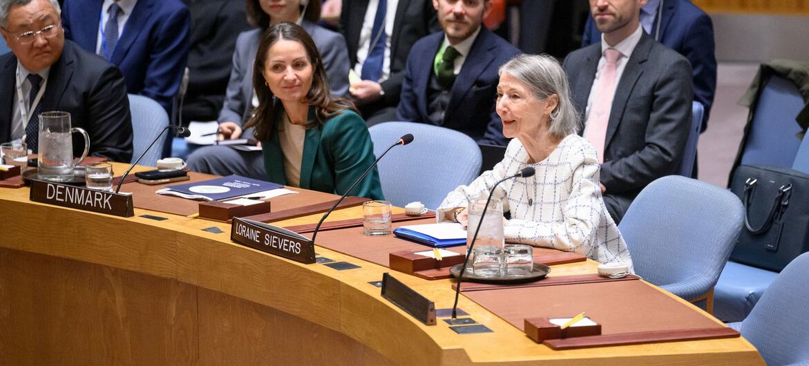 UN Security Council meeting with Lorraine Sievers and Danish delegation at a conference table.