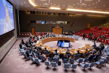 Delegates are seated around a large, circular table in a formal meeting room, with a large screen displaying a speaker.