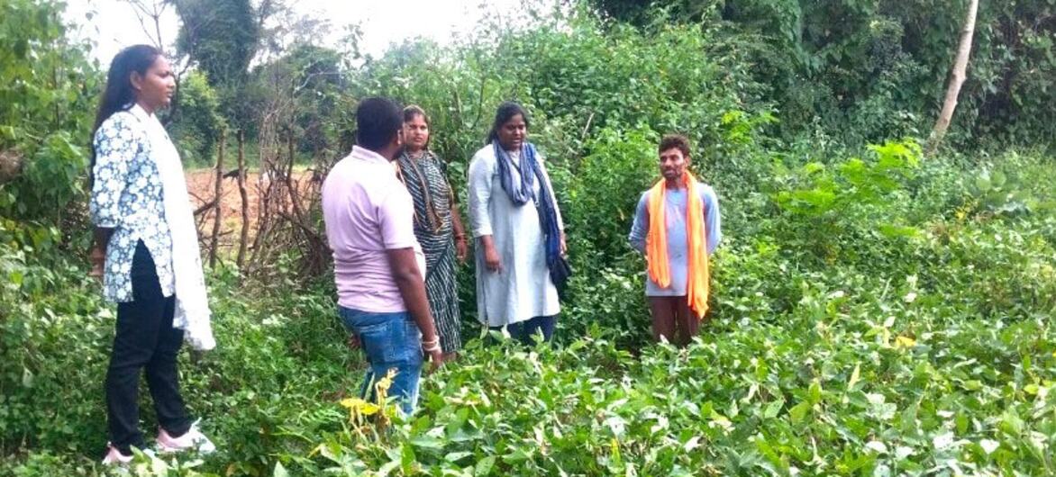 भारत में UNDP की एक परियोजना किसानों को जैविक खेती अपनाने, जल स्रोतों की बहाली और अपनी आजीविका मज़बूत करने में मदद कर रही है.