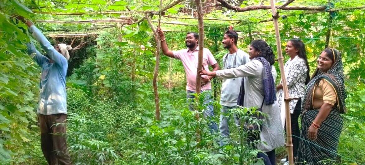 भैयालाल और पूजा विविध फ़सलें उगा रहे हैं, मिट्टी की सेहत सुधार रहे हैं और टिकाऊ खेती के अपने अनुभव गाँव के अन्य किसानों से साझा कर रहे हैं.